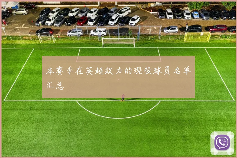 本赛季在英超效力的现役球员名单汇总