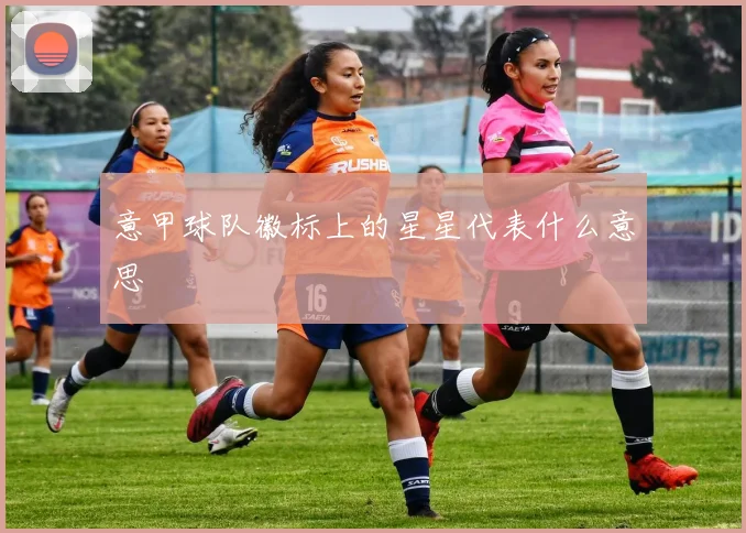 意甲球队徽标上的星星代表什么意思