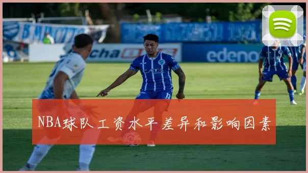 NBA球队工资水平差异和影响因素