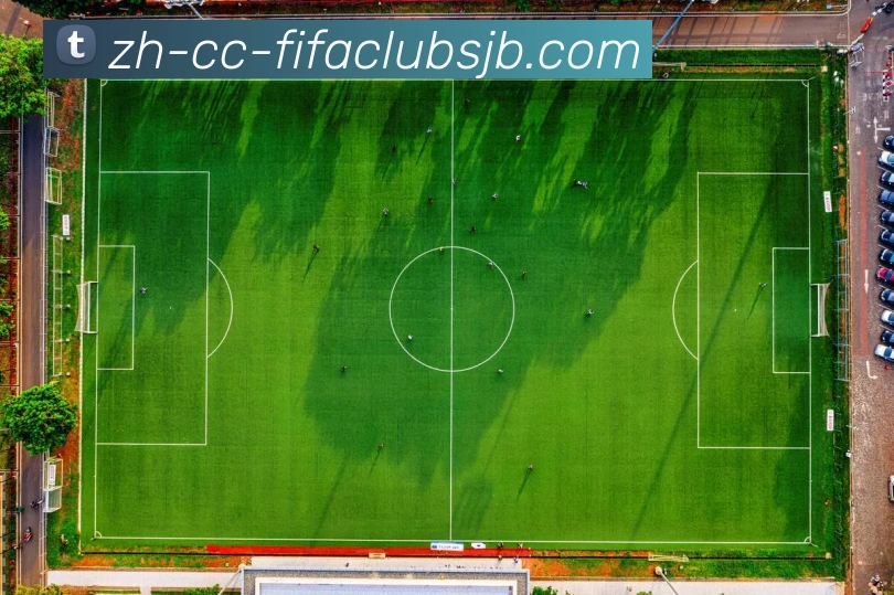 世界杯赛程平台生态图